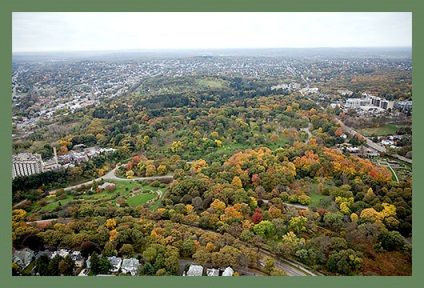 Arboretum Arnold - Arnold Arboretum Statele Unite ale Americii America de Nord design peisagistic