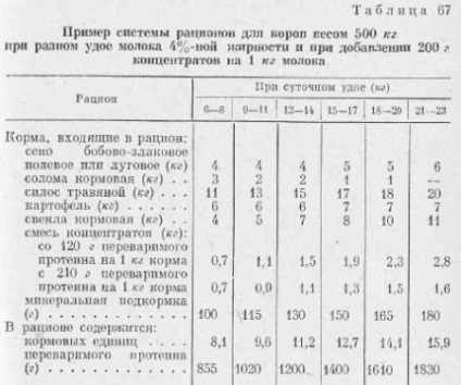 Echilibrarea dietelor de hrănire este vorba despre creșterea bovinelor