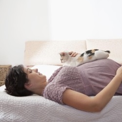 Gravidă nu poate lovi cu piciorul o pisică, poate fi în timpul sarcinii