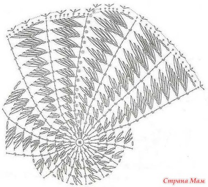 Are o spirală (descriere detaliată)