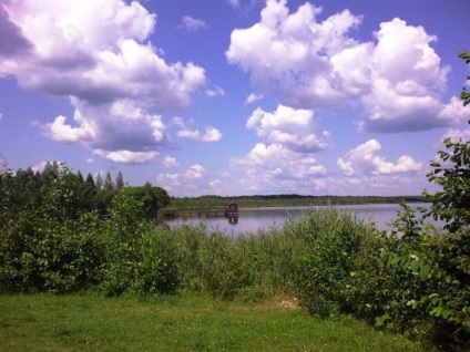 Rezervația Biosferei Berezinsky (regiunea Vitebsk), recenzii ale turiștilor