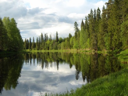 Rezervația Biosferei Berezinsky (regiunea Vitebsk), recenzii ale turiștilor