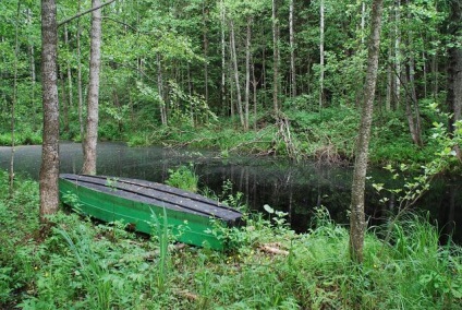 Rezervația Biosferei Berezinsky (regiunea Vitebsk), recenzii ale turiștilor