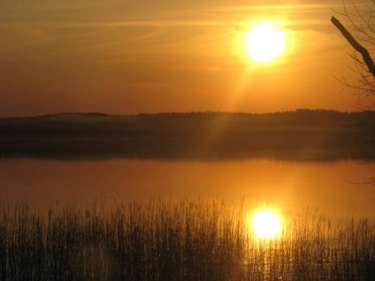 Berezinsky Bioszféra Rezervátum (Vityebszk megye) értékelések nyaralóknak