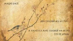 Ce este haiku-ul cum să scrie poezie în stil japonez - revista femeilor despre frumusețe și sănătate