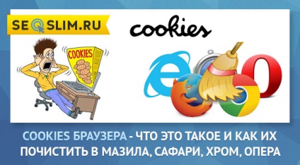 Cookies - cum este curățarea cookie-urilor în browser-ul Yandex, mazila, google crom, opera, explorer