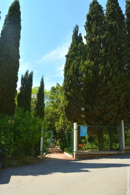 Dendropark și muzeul naturii din alushta, sau o bucată de faună sălbatică în orașul plin de viață, clubul