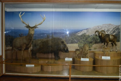 Dendropark și muzeul naturii din alushta, sau o bucată de faună sălbatică în orașul plin de viață, clubul