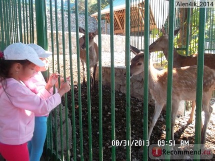 Dendrozoopark, Alushta