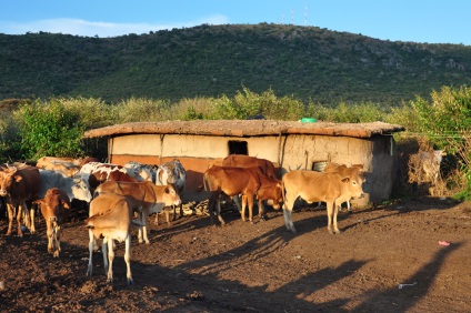 Satul tribului Masai