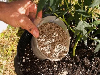 Superfosfat dublu utilizat în fertilizarea solului