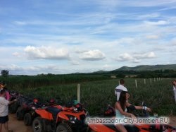 Excursie pe ATV-uri în Pattaya