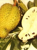 Fructe de durian