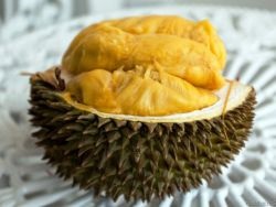 durian gyümölcs