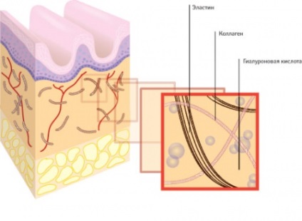 Acidul hialuronic în cosmetologie și rău