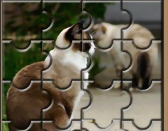 Puzzle Animale