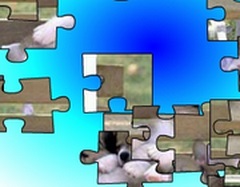 Puzzle Animale
