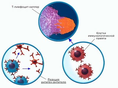 Imunitate și alte sisteme de protecție corporală