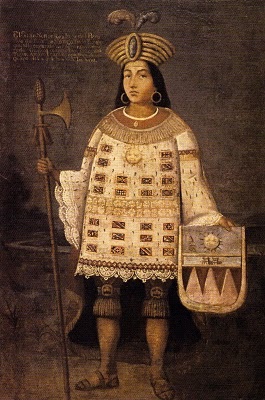 Inca, vicuna