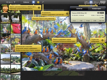 Iphoto pe iPad, totul despre ipad