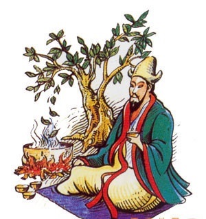 Istoria miturilor și legendelor ceaiului - lumea sălbatică sălbatică