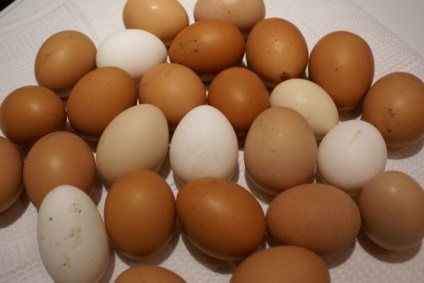 Datorită scandalului cu insecticid, prețurile la ouă pot crește