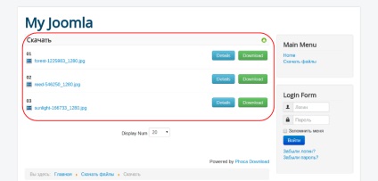Joomla 3 cum se instalează managerul de descărcare pe site, stost blog