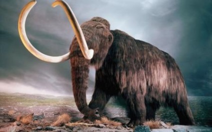 Hogyan klónozni egy mamut tudományos hírek