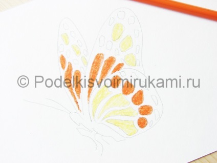 Cum să desenezi un fluture în trepte cu un creion