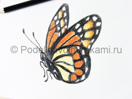 Cum să desenezi un fluture în trepte cu un creion