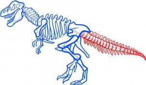 Cum de a desena un schelet din dinozaur - învăța cum să atragă