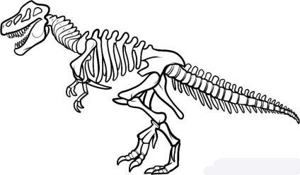 Cum de a desena un schelet din dinozaur - învăța cum să atragă