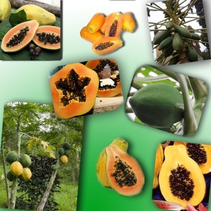 Ce fructe exotice ați încercat care sunt impresiile dvs. de gust