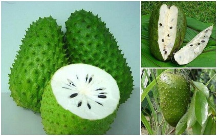 Ce fructe exotice ați încercat care sunt impresiile dvs. de gust