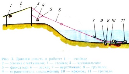 Как да хванеш змия, как да се змията в ръцете си