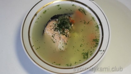 Cum să gătești supa de pește de somon prin rețetă pas cu pas cu fotografie