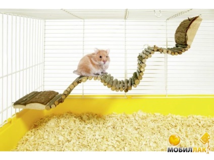 Cum de a face accesorii pentru un hamster tine - prima scoala de yule