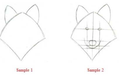 Cum să faci o mască de lup în etape - prospect
