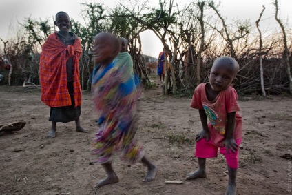 Cum trăiește Maasai, mai proaspăt - cel mai bun din Runet pentru o zi!
