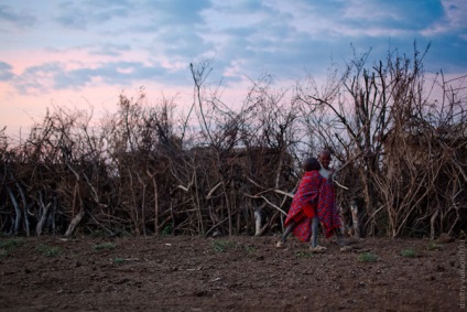 Cum trăiește Maasai, mai proaspăt - cel mai bun din Runet pentru o zi!