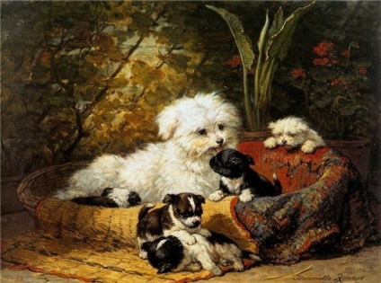 Imagine a unui câine cu cățeluși