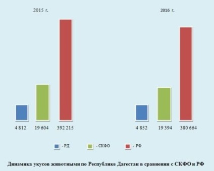 Nodul caucazian, locuitorii din Dagestan au cerut să oprească împușcarea câinilor fără stăpân