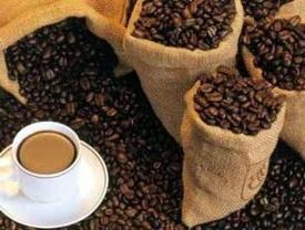 Kávé Luwak - a legdrágább és ellentmondásos a kávé világa