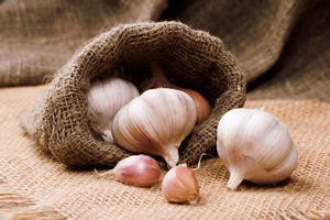 Conserve ciuperci albe pentru sfaturi de iarnă și sfaturi pentru gospodine, site-ul de ciuperci