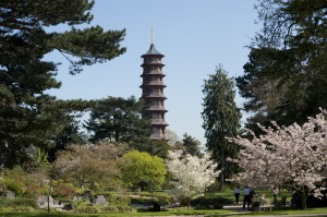 Royal Botanic Gardens, Kew - Live in London