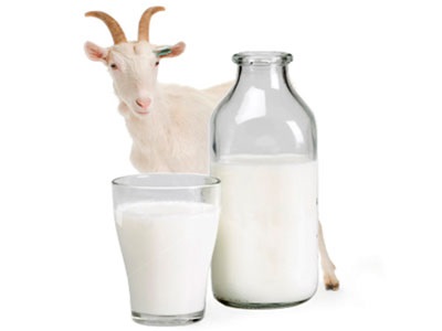 Lapte de capra pentru alergii