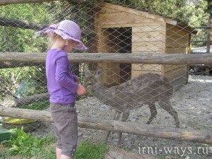 În cazul în care pentru a merge în alushta la dendrozoo, în cazul în care casa nu este așezat