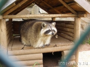 În cazul în care pentru a merge în alushta la dendrozoo, în cazul în care casa nu este așezat