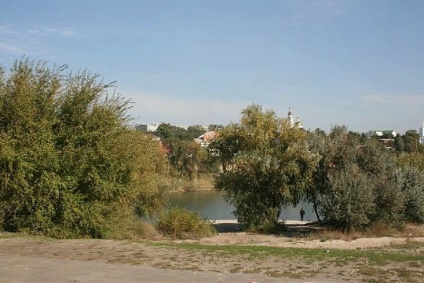 Descrierea și fotografia Kumzhenskaya Grove