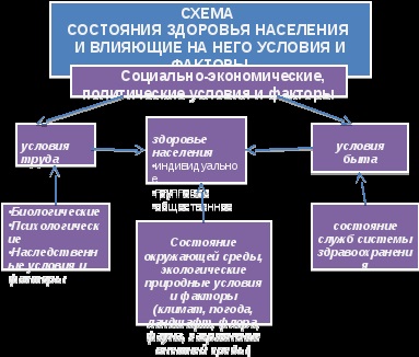 Prelegerea № 1 